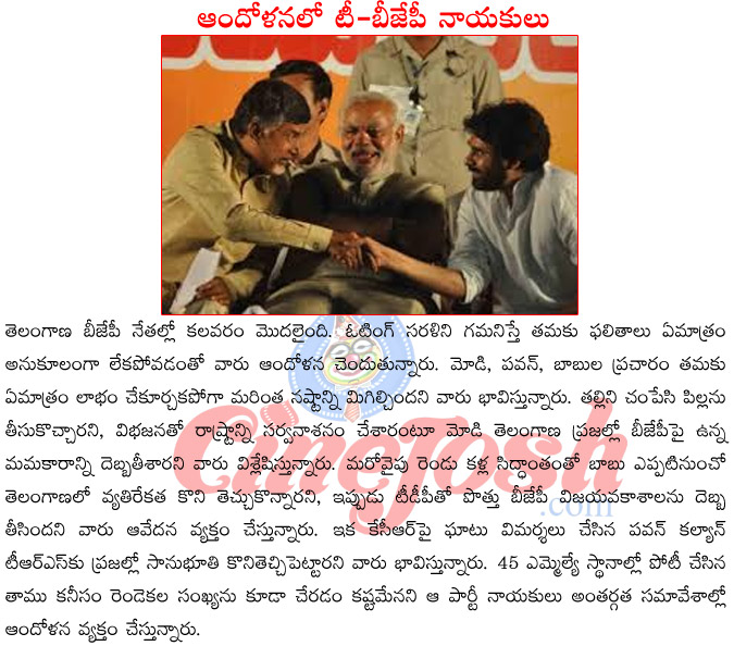 bjp prime minister candidate narendra modi,pawan kalyan on kcr,chandrababu naidu campaining in telangana,bjp contesting in telangana  bjp prime minister candidate narendra modi, pawan kalyan on kcr, chandrababu naidu campaining in telangana, bjp contesting in telangana